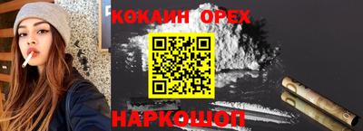прущие грибы Новозыбков