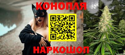 прущие грибы Новозыбков
