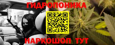 прущие грибы Новозыбков