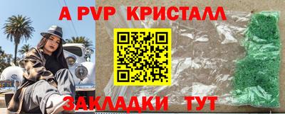 прущие грибы Новозыбков
