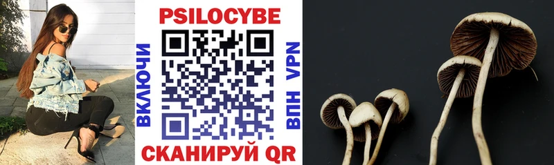 Псилоцибиновые грибы Psilocybine cubensis магазин наркотиков Чита