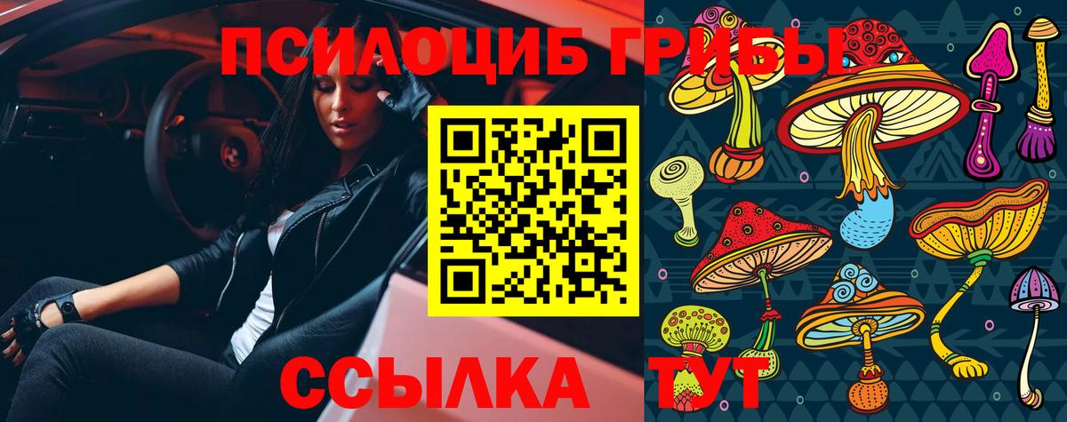 Псилоцибиновые грибы Psilocybe Чита